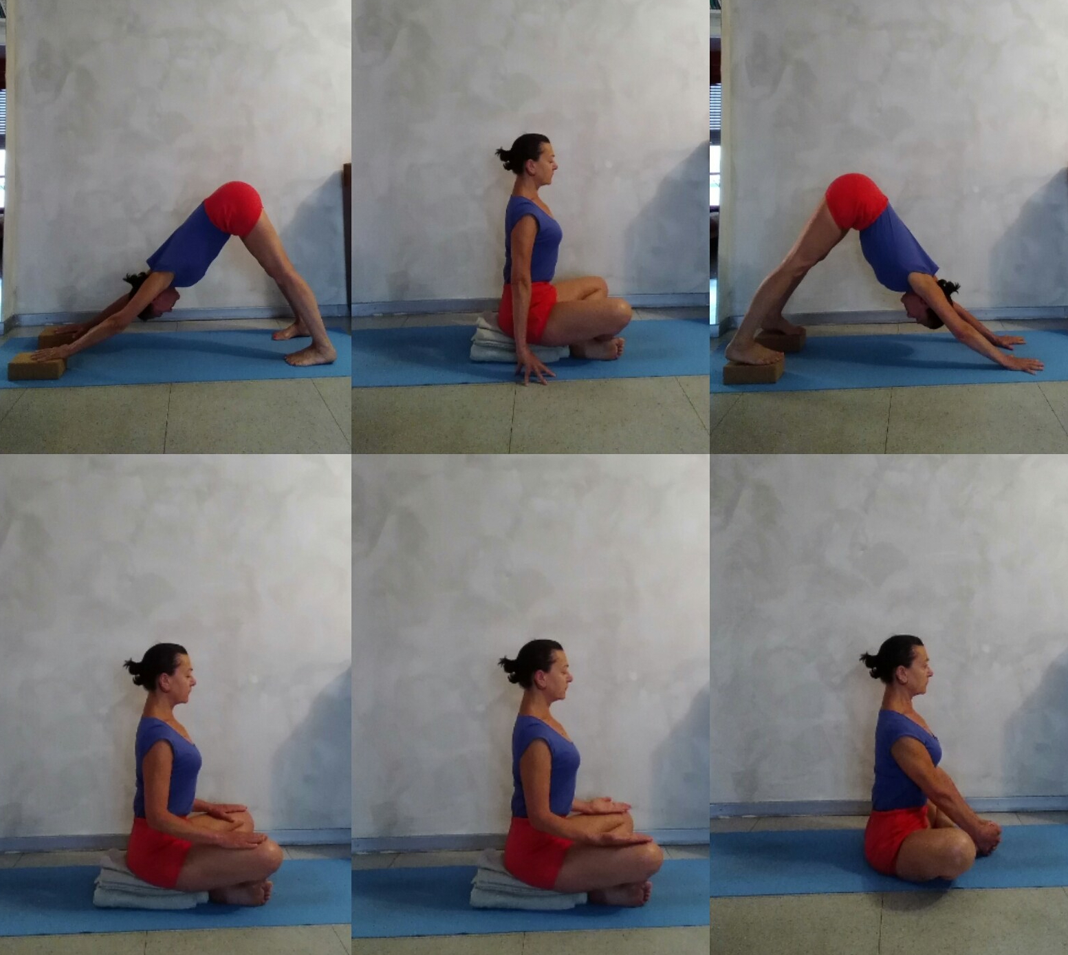 Il cammino della conoscenza: Asana, Pranayama, Pratyahara